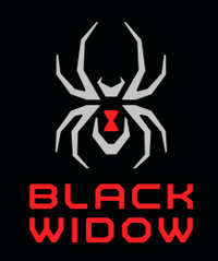 Black Widow logo | Dan Pilson Auto Center, Inc. in Mattoon IL