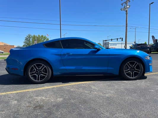 2019 Ford Mustang EcoBoost Premium in Mattoon, IL, IL - Dan Pilson Auto Center, Inc.